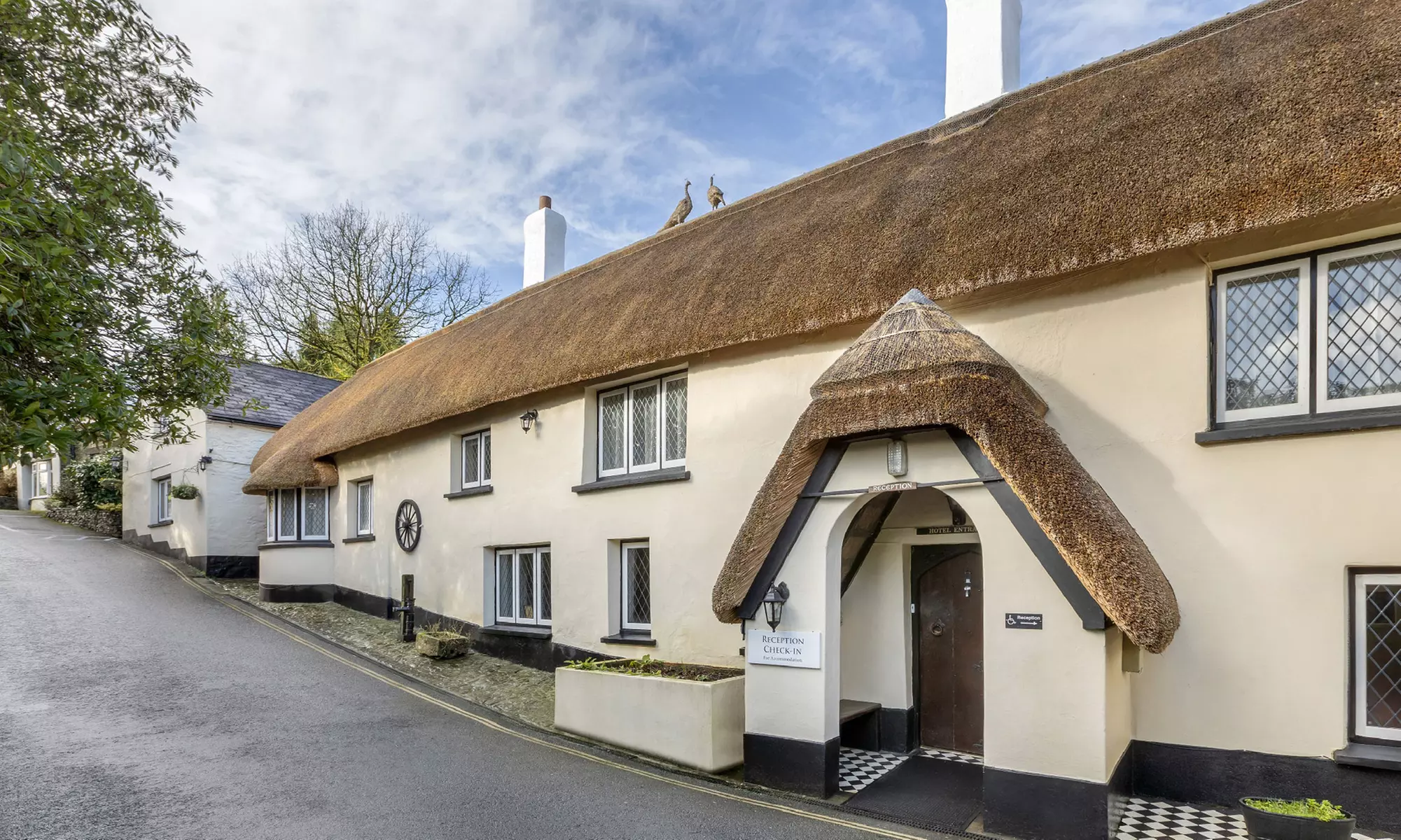 Rolling Hillside Retreat in Devon: Scenic Apartment Stay up to 6