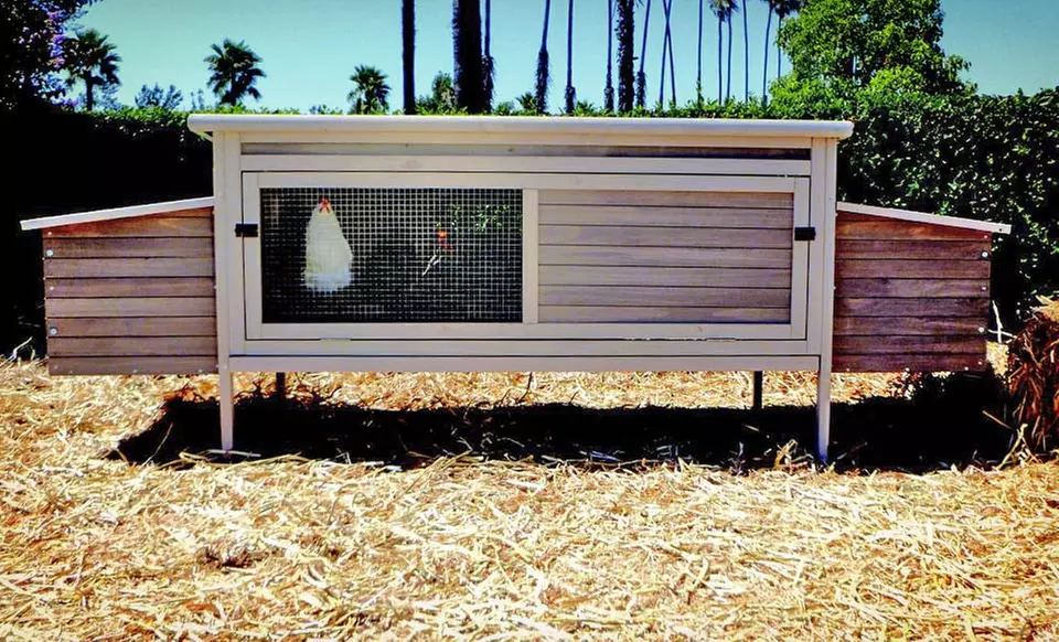 Precision Pet Hen Pen or Coop (Up to 55% Off). Free Shipping. - Primary Image