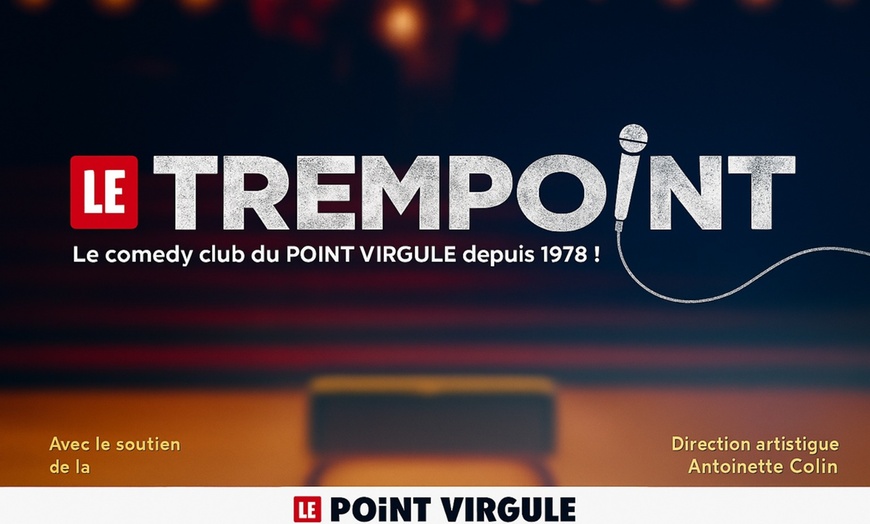 Image 2: Soirée Stand-Up : Le meilleur plateau d'artistes au Point Virgule