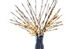 Willow Branch Decorative LED Lamp with 20 Bulbs - Second Medium