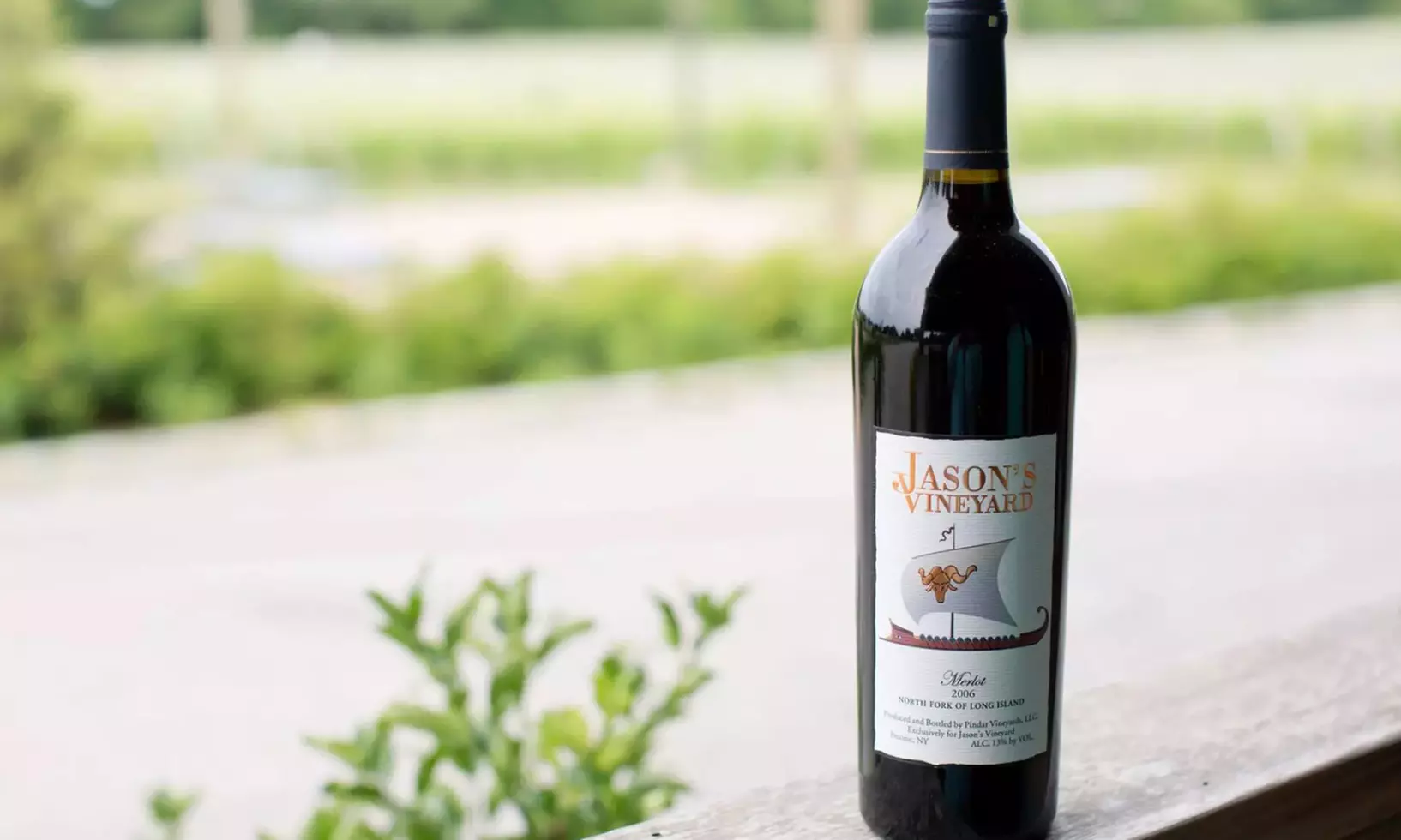 VIP Wine Tasting Experience w/ Cheese & Crackers, 2 or 4 Glass & More