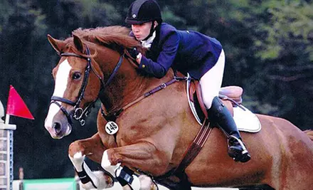 One or Three 1.5-Hour Private Horseback-Riding Lessons at Raynham Stables in Nobleton (58% Off) - Primary Image