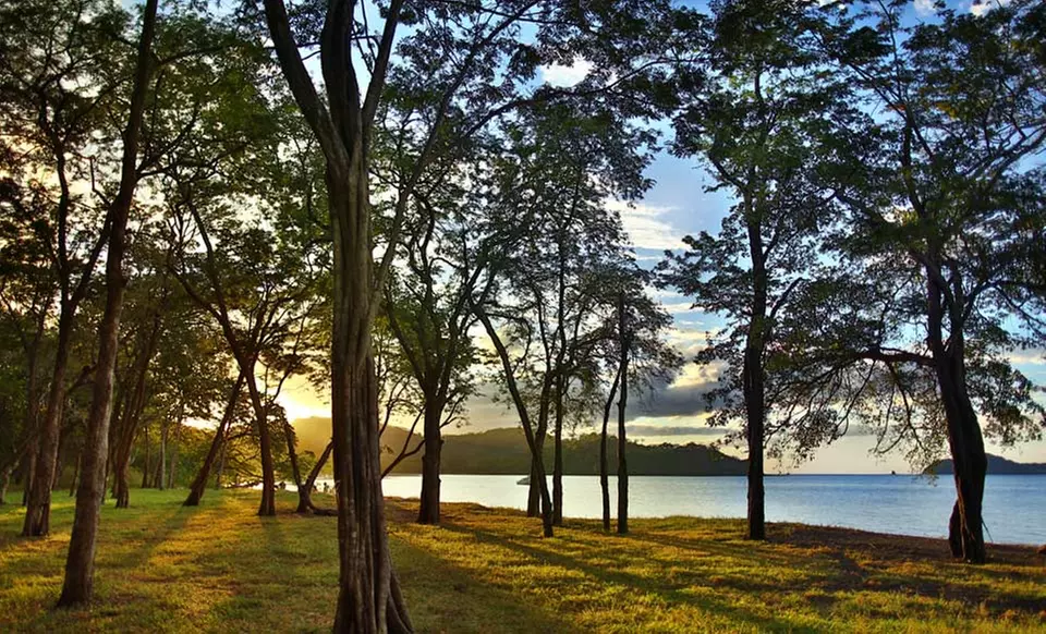 3-, 4-, 5-, or 7-Night Stay for Two in a Bark Suite at El Mangroove in Costa Rica. Combine Up to 14 Nights. - Primary Image