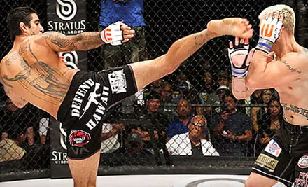 Da Spyder Versus The Punk at Neal S. Blaisdell Center from ProElite MMA (Up to Half Off). Two Options Available. - Primary Image