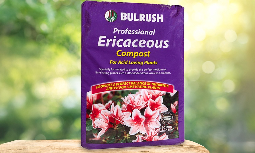 Image 1: Ericaceous Compost 60L