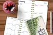 2020 Small Spiral Pocket Planner - Second Medium