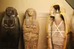 Uncover Wonders at the Field Museum with an Audio Guide -  0% Off - Second Medium