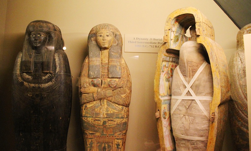 Image 3: Uncover Wonders at the Field Museum with an Audio Guide