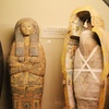 Image 3: Uncover Wonders at the Field Museum with an Audio Guide