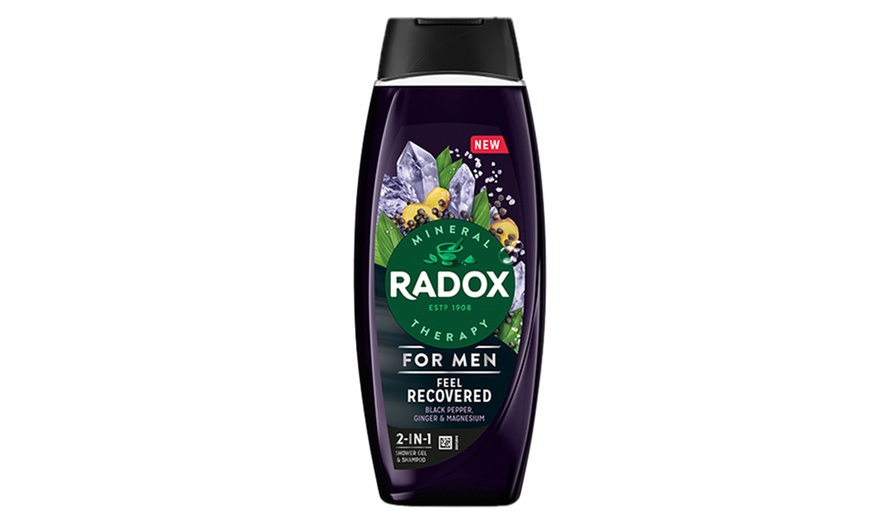 Image 12: Radox Mineral Therapy 2in1 Shower Gel and Shampoo 450ml