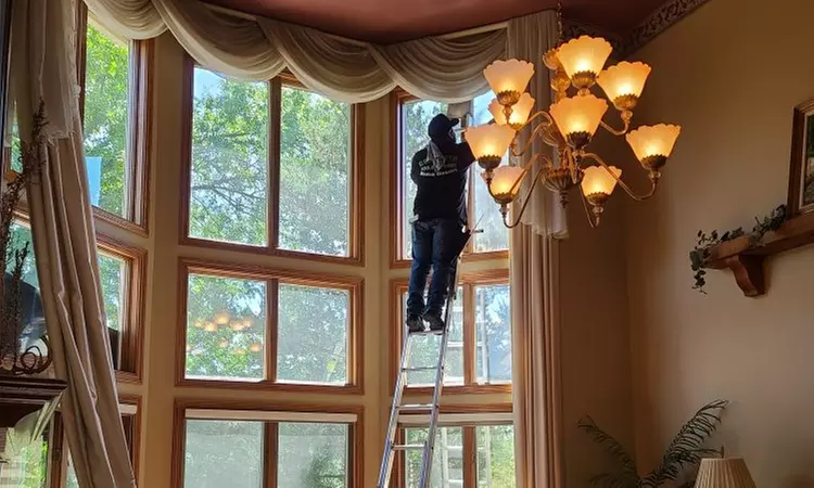 Interior and Exterior Window Cleaning for 30 Windows
