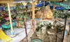 One-Night Stay with Pizza, Arcade Credits, and Waterpark Access at Edgewater Resort and Waterpark in Duluth, MN