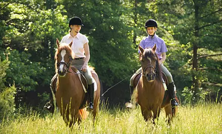 One or Three One-Hour Horseback-Riding Classes at White Horse Equestrian (Half Off)  - Primary Image