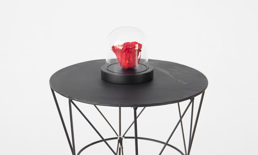 Image 3: Echte rode roos onder stolp 