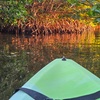 Image 23: Guided Kayak or SUP Eco-Tour – Geiger Key, Key West