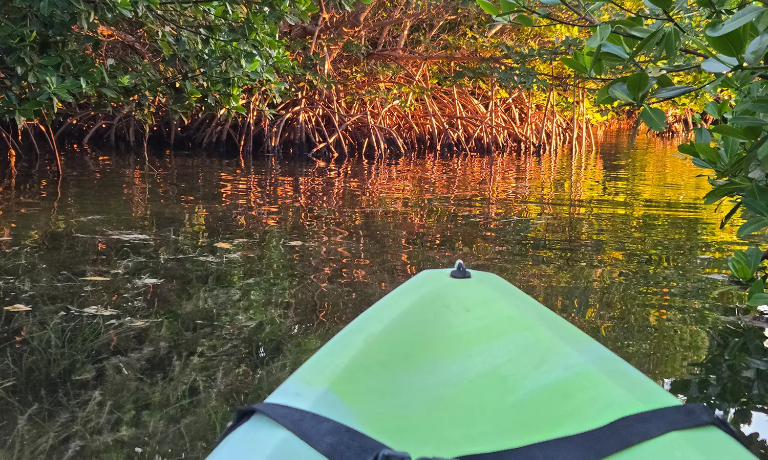 Guided Kayak or SUP Eco-Tour – Geiger Key, Key West