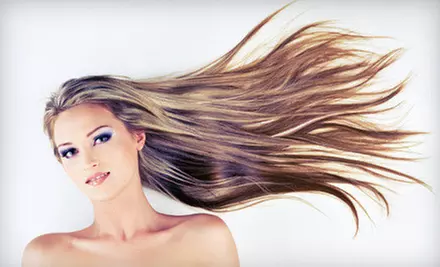 Shampoo, Cut, Conditioning Treatment, and Blow-Dry with Optional Partial or Full Highlights at Platinum Salon (Up to 82% Off) - Primary Image