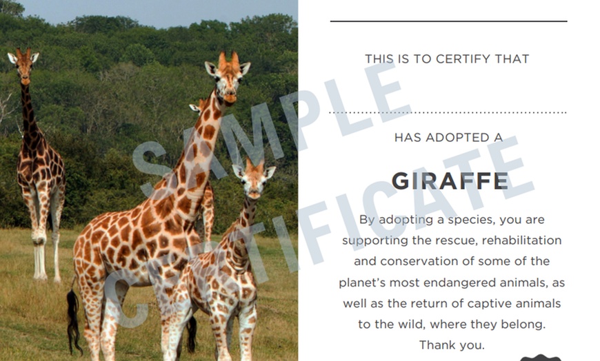 Image 10: Up to 17% Off on Zoo / Animal Park at The Aspinall Foundation