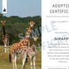 Image 10: Up to 17% Off on Zoo / Animal Park at The Aspinall Foundation
