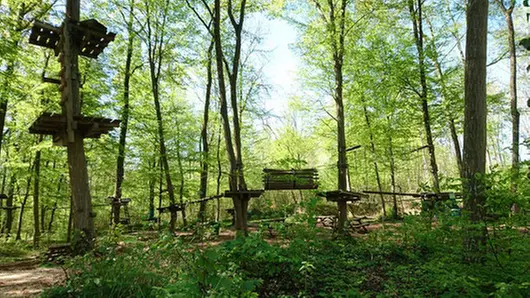 Expérience accrobranche en forêt pour enfant et adulte