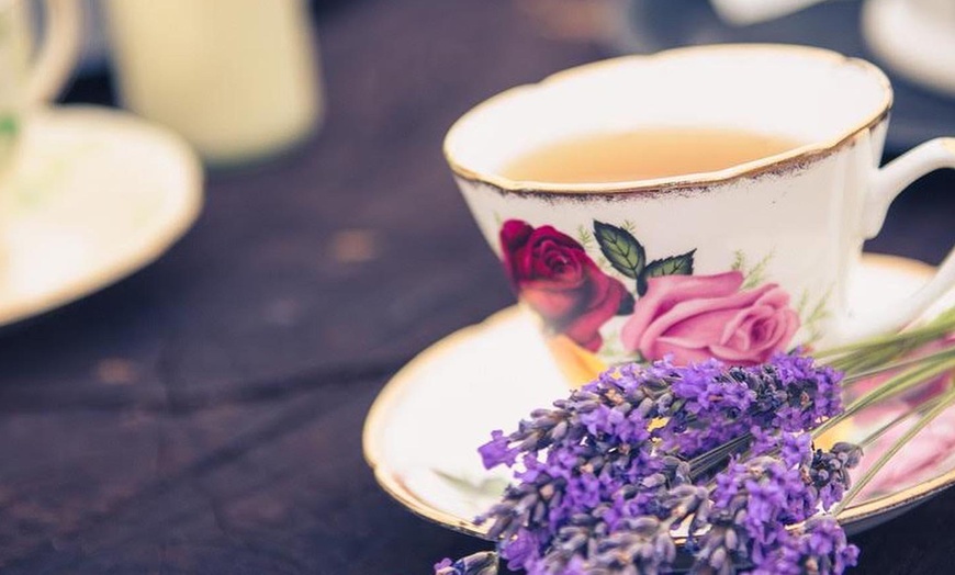 Image 4: Discover Beautiful Lavender Fields & Afternoon Tea at Finchingfield Camping with Up to 33% Off!