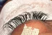 Full Lashes w/ a Cluster(90 min), Hybrid (180 min), Volume(240 min)/Angel (150 Min)Set @(Up to The Mvse Lash Studio Off) - Second Medium