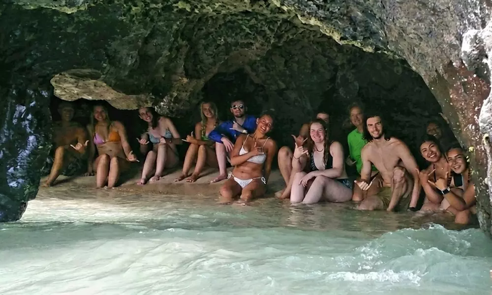 North Shore Beach Tour – Oahu's Iconic Coastline and Turtle Snorkeling