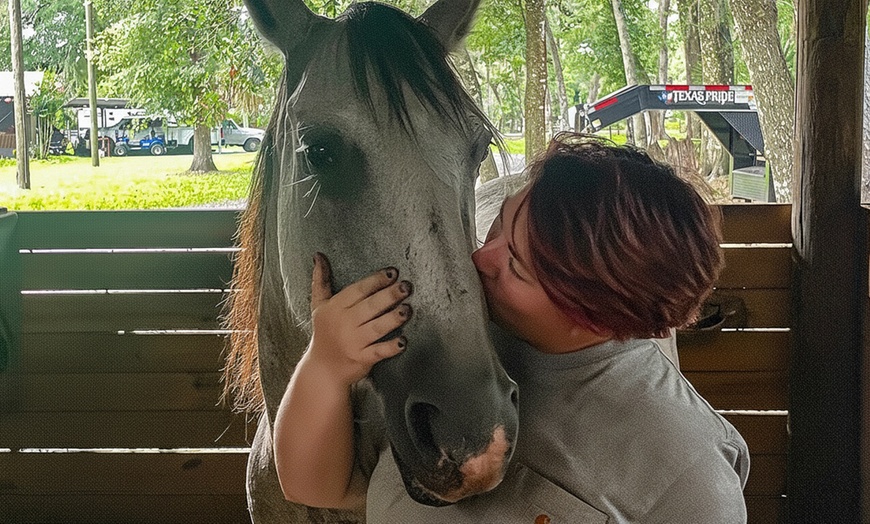 Image 5: Beginner Equine Care Class: Hands-On Learning for All Ages