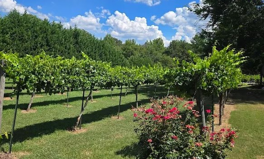 Image 8: Enjoy a Wine Tasting Flight for 1, 2, or 4 People in a Scenic Vineyard
