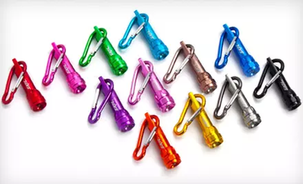 $12 for a Skil 12-Piece LED Flashlight and Carabiner Set ($19.88 Value) - Second Medium