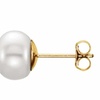 Image 2: 14K Yellow Gold Plated 6-7 mm White Freshwater Cultured Pearl Stud Earrings 