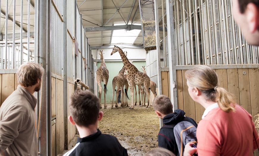 Image 43: Vivre les missions d’un soigneur au Touroparc Zoo