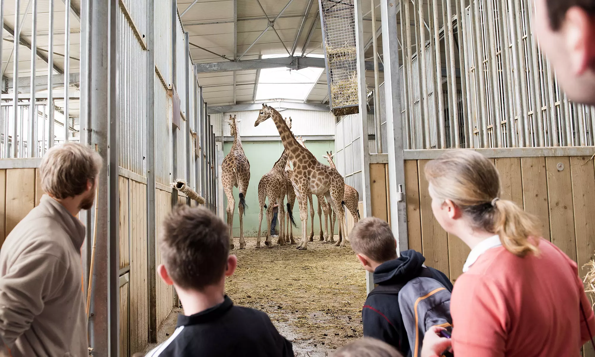 Vivre les missions d’un soigneur au Touroparc Zoo