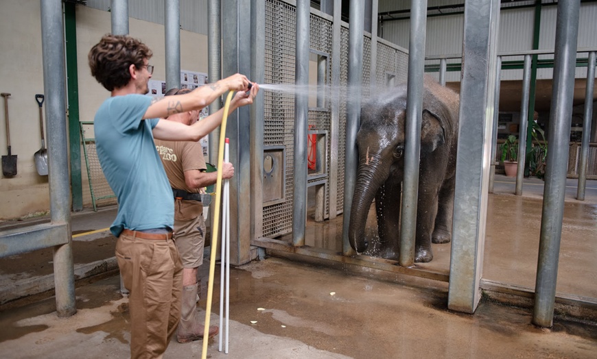 Image 39: Vivre les missions d’un soigneur au Touroparc Zoo