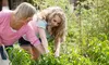 Organic Urban- or Balcony-Gardening Workshop for Two at Fresh City (50% Off)