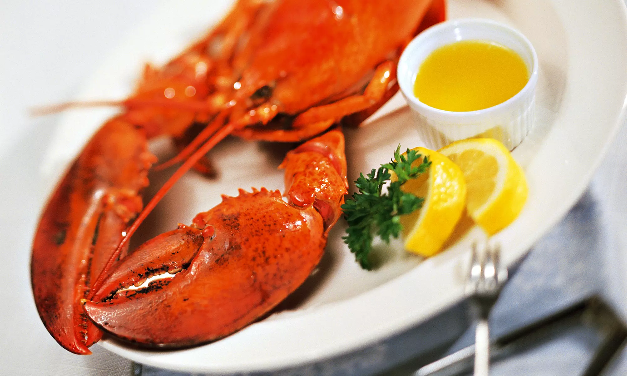 Lobster Dinner or Package of Lobster Tails from GetMaineLobster.com (Up to 52% Off ). Four Options Available.  - Primary Image