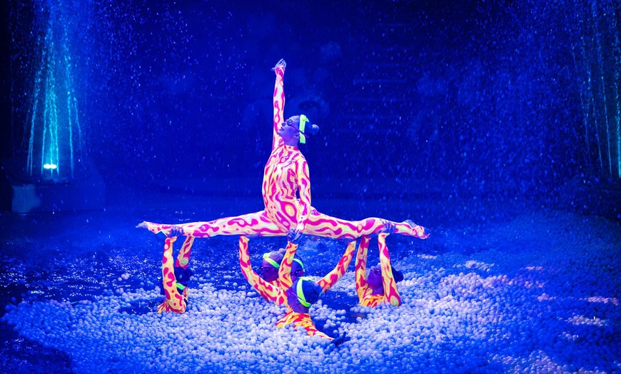 Image 5: Experience Britain's Longest Running Summer Show at Hippodrome Circus!