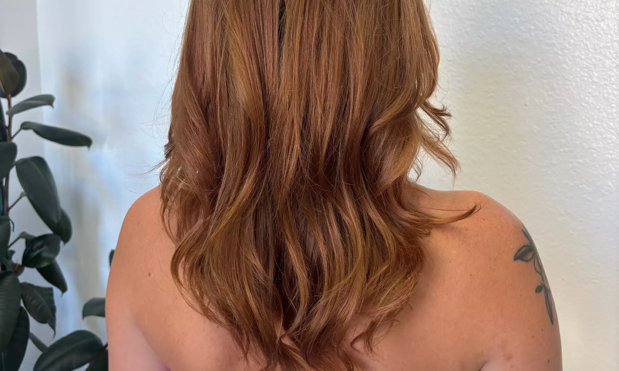 Haircut, Conditioning & Blowdry with Single Color or Half/Full Highlights at Shearjunkie - Up to 40% Off - Second Medium