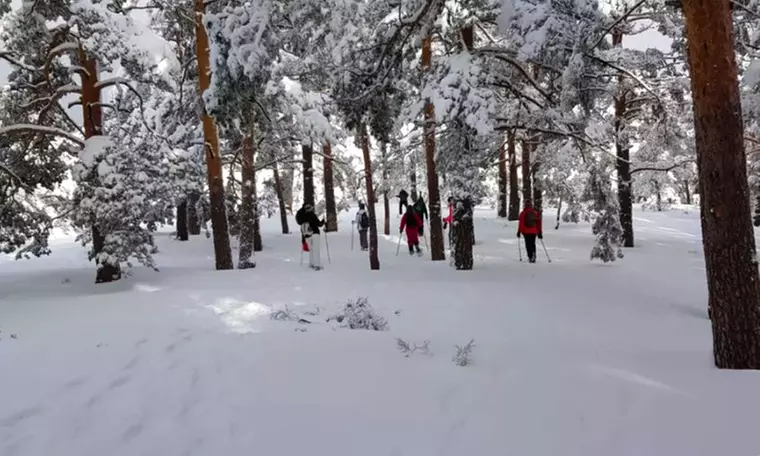 Excursión con raquetas por la Sierra de Guadarrama para 1 o 2 personas