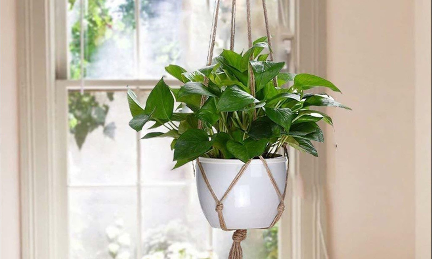 2pcs s Plant Hanger Basket Hanging Rope Planter Basket Pot Holder Flower Garden