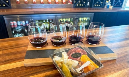 Wine Tasting Experience for One + One Personal Charcuterie - Cielo Sulla Terra Estate Vineyards and Winery