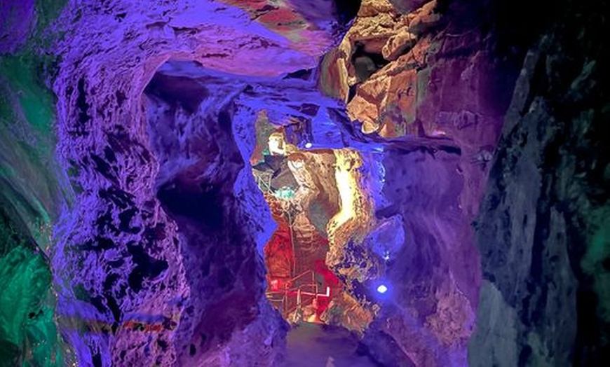 Image 6: GetOut: 1 Year Access Pass to 34+ Attractions in Austin