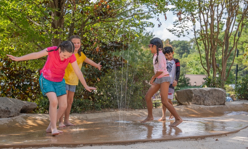 Image 11: Stone Mountain Park Tickets & Zipline Course