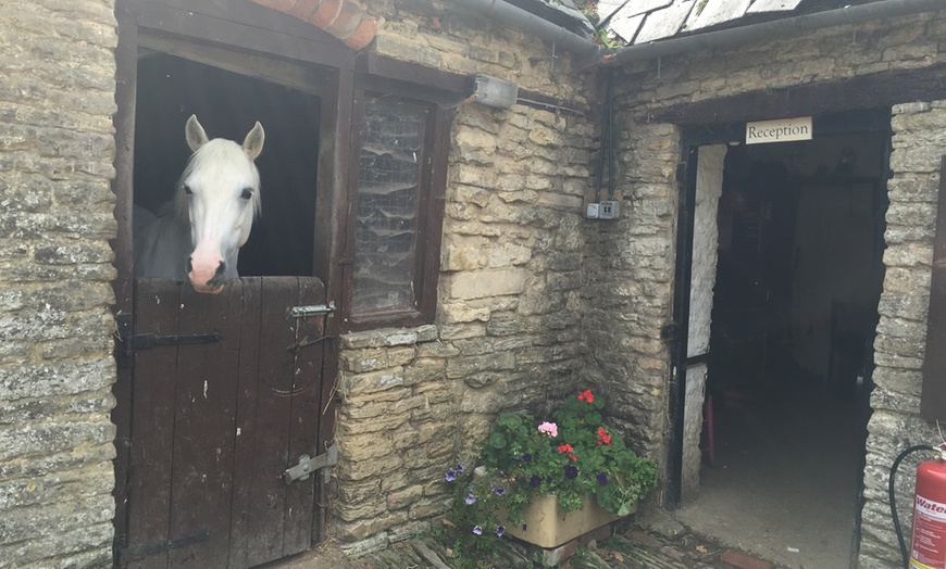 Image 6: Two-Hour Horse Riding Experience