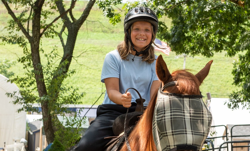 Image 2: 60-Minute Horseback Trail Ride for One, Two, or Four People