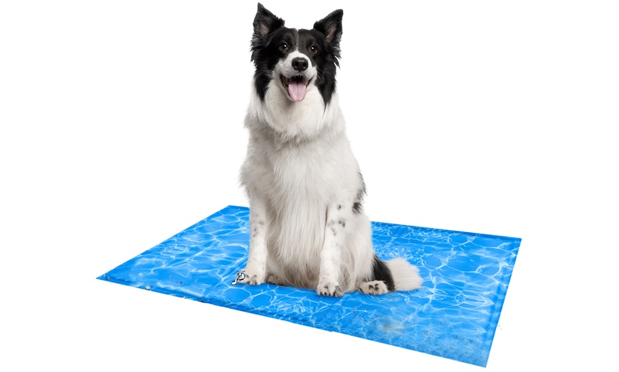 Image 3: Kühlmatte für Haustiere