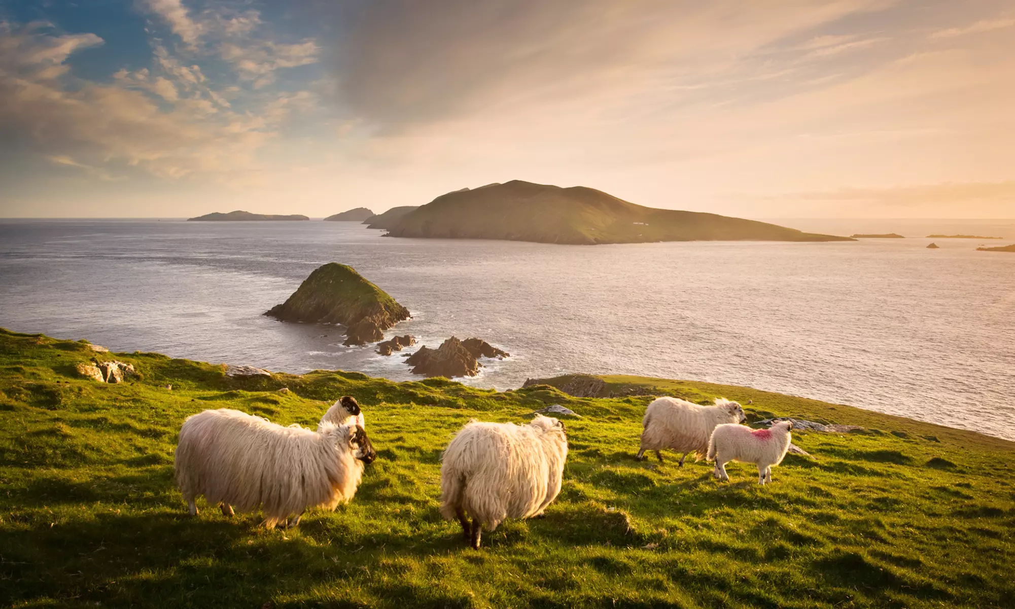 ✈ 9-Day Vacation in Ireland with Airfare from Great Value Vacations. Price/Person Based on Double Occupancy.  - Primary Image