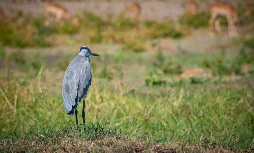 Image 46: Zimbabwe: 7-Night Yoga & Safari Retreat