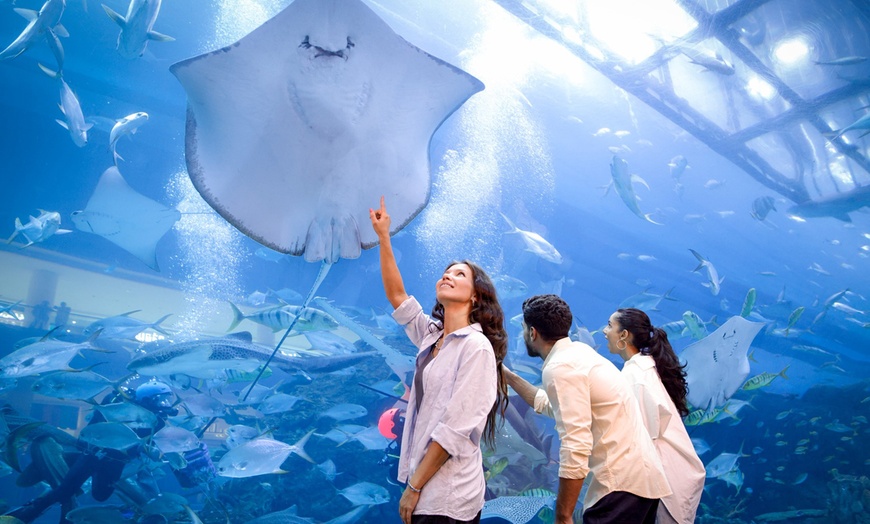 Image 5: Dubai Aquarium and Dubai Frame Entry Tickets for 1, 2 or 4 Adults