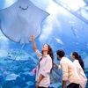 Image 5: Dubai Aquarium and Dubai Frame Entry Tickets for 1, 2 or 4 Adults